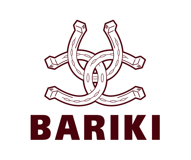 株式会社BARIKI